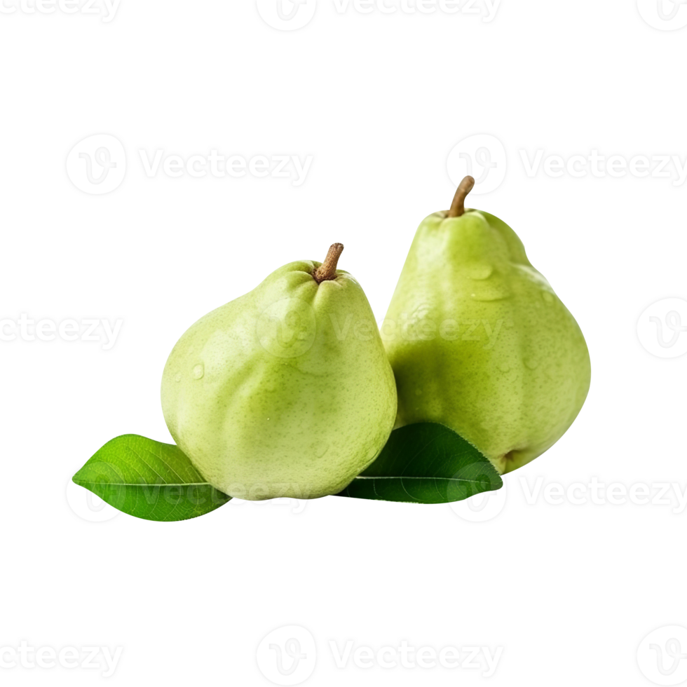 Fresh guava fruit pair isolated on transparent background png