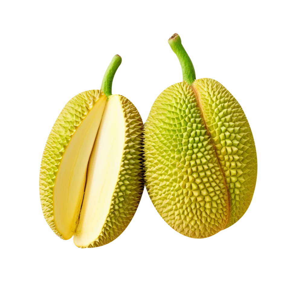Fresh jackfruit isolated on transparent background png
