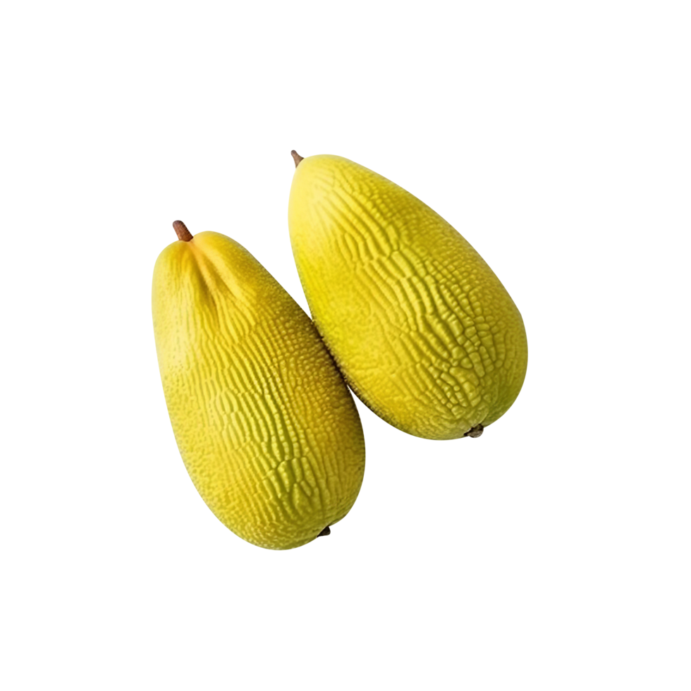 Fresh jackfruit isolated on transparent background png
