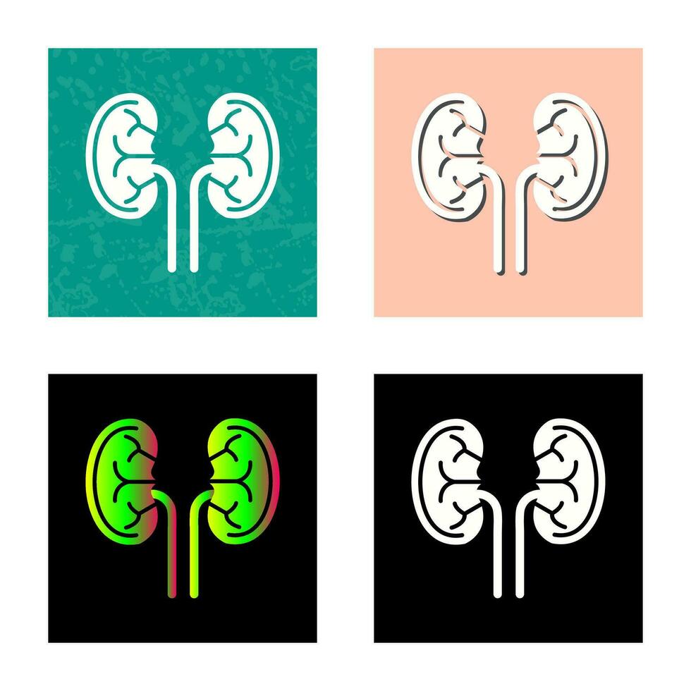 Kidney Vector Icon