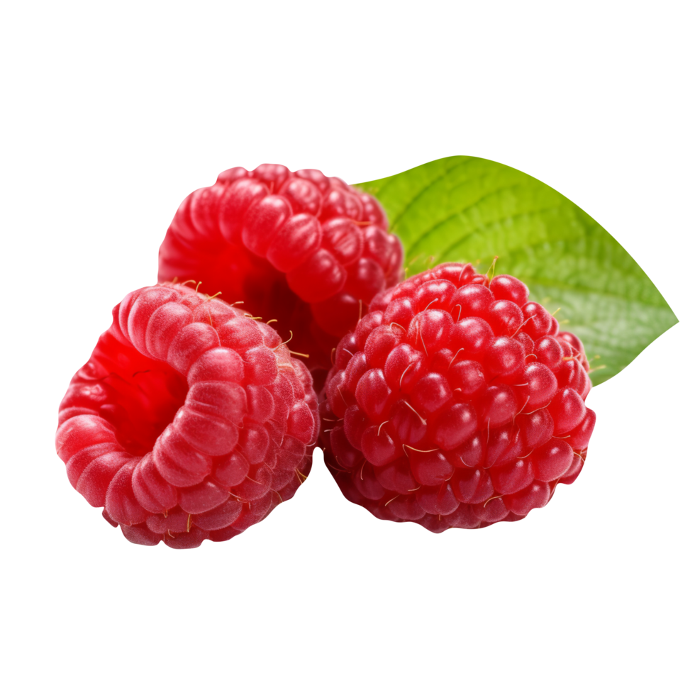 Fresh tasty raspberries isolated on transparent background png