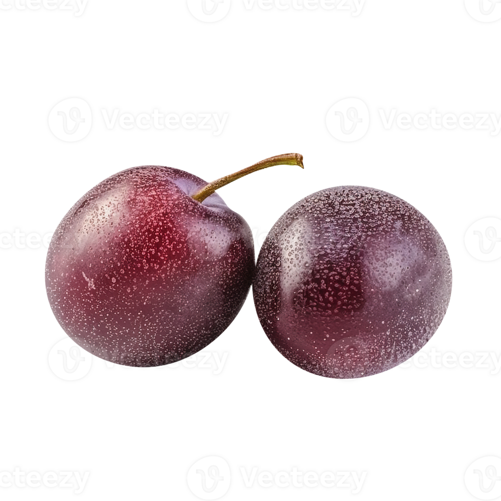 Fresh plum fruit pair isolated on transparent background png