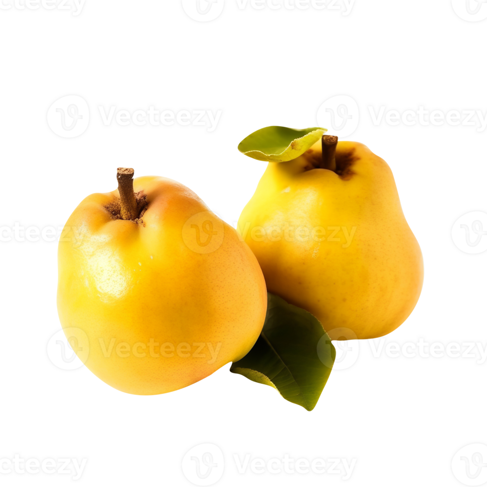 Fresh quince fruit isolated on transparent background png