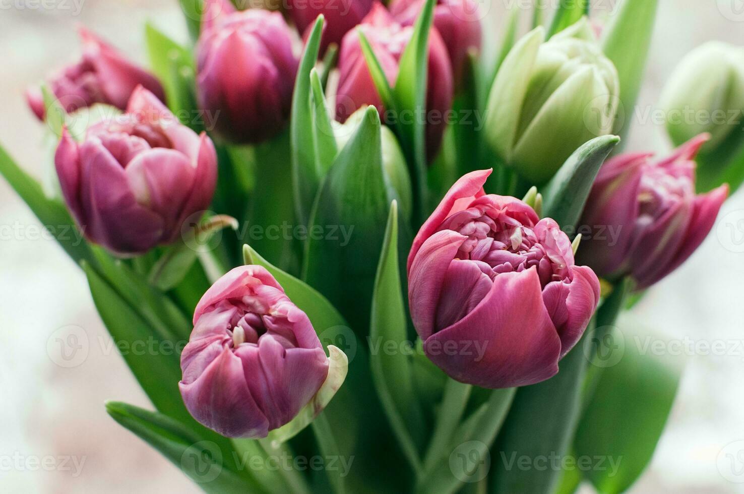 Spring Flowers in Bunch Close-up Blurred Abstract Background photo