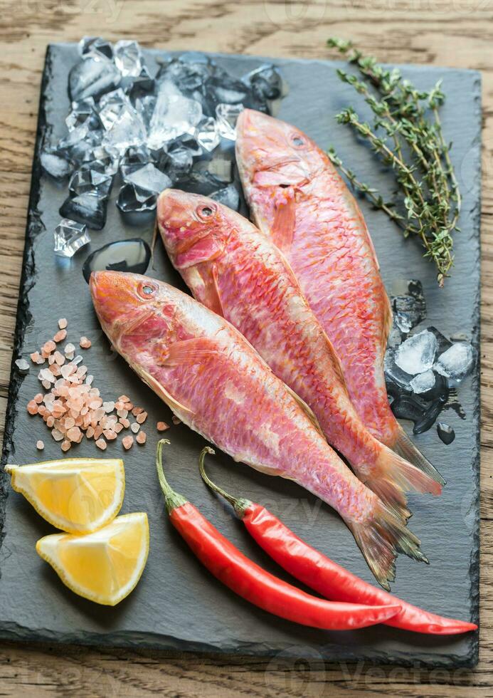 Raw red mullet with ingredients photo