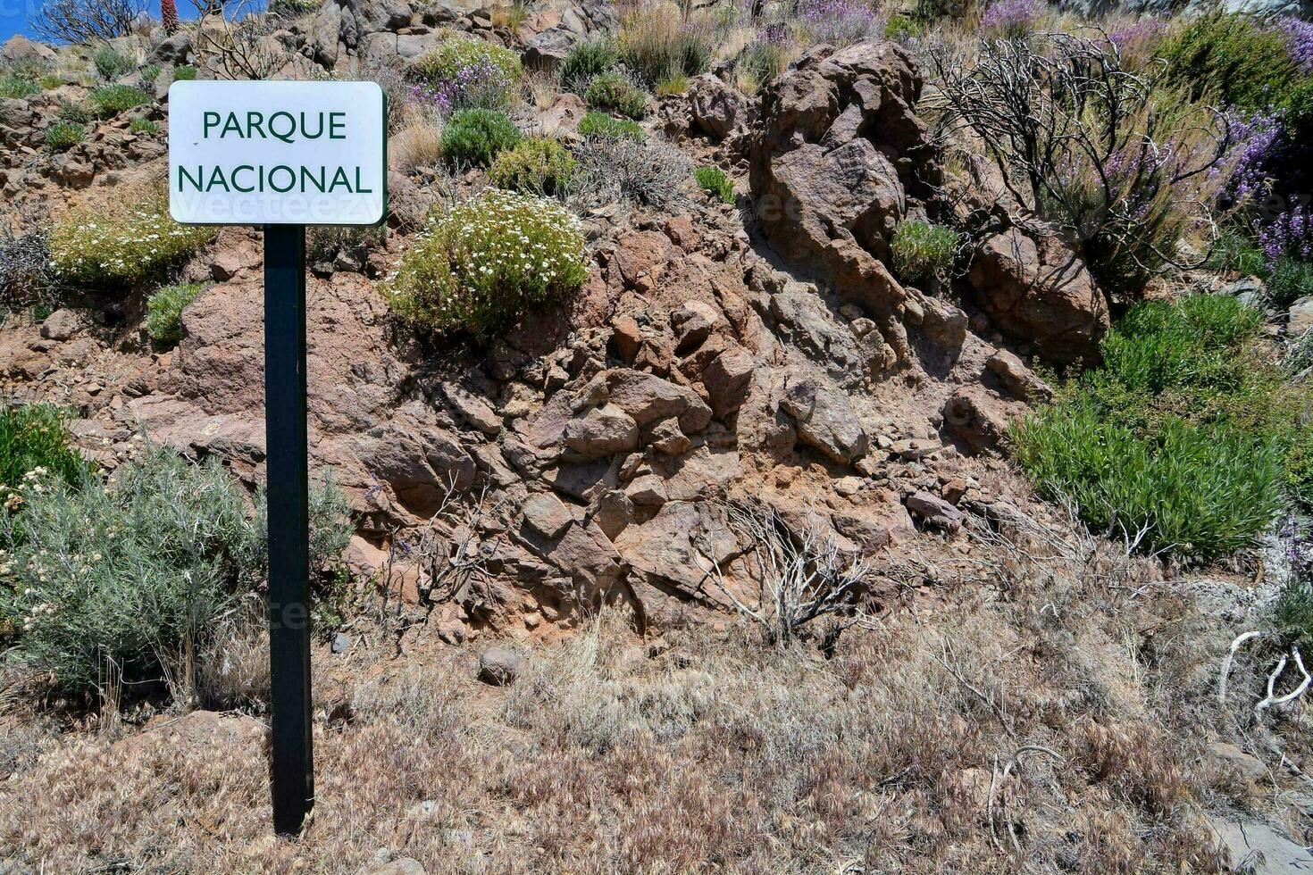 Scenic national park view photo