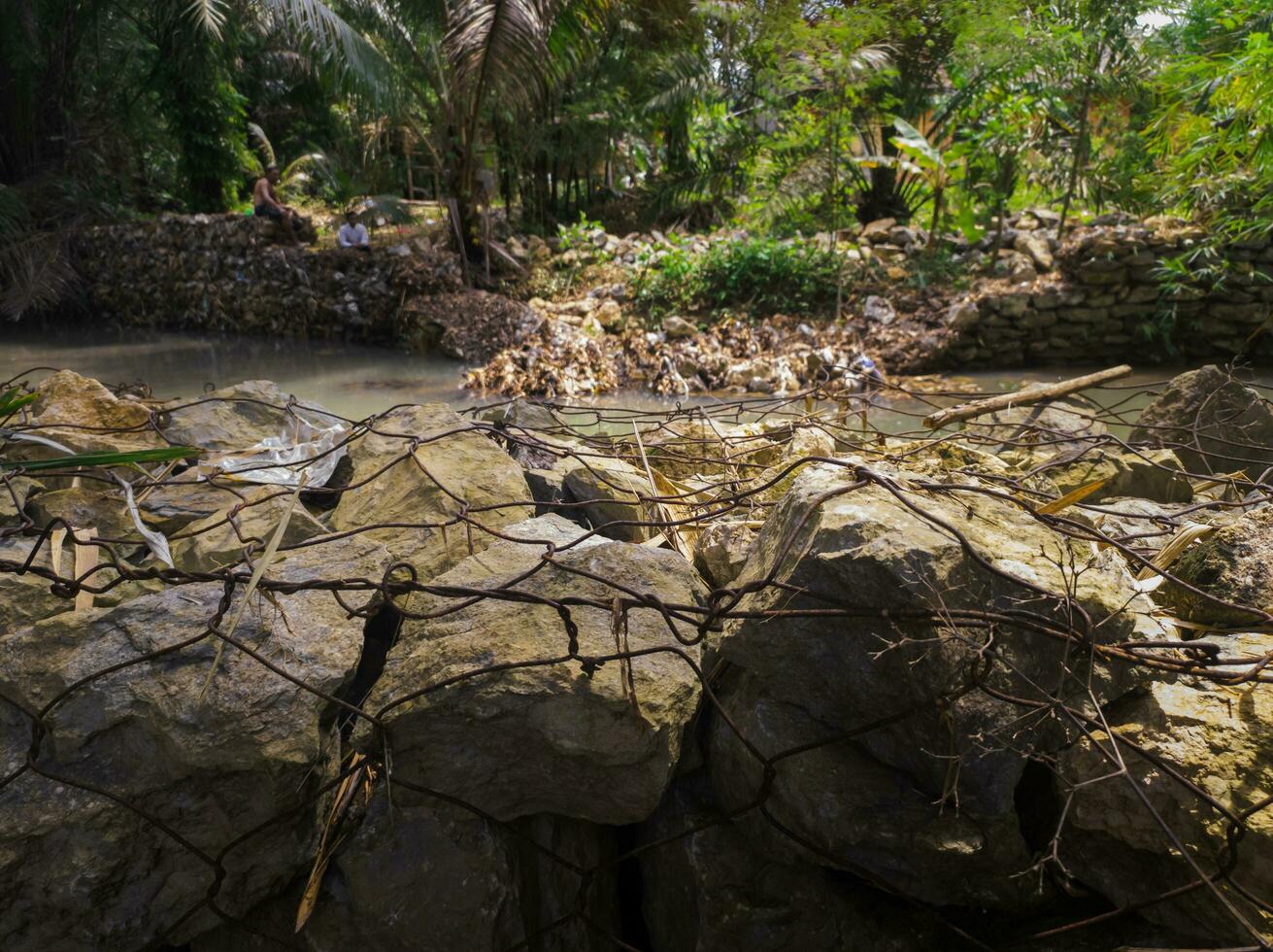 A lush rainforest, full of trees and rocks, winding rivers and streams providing a tranquil backdrop. Nature at its most beautiful photo