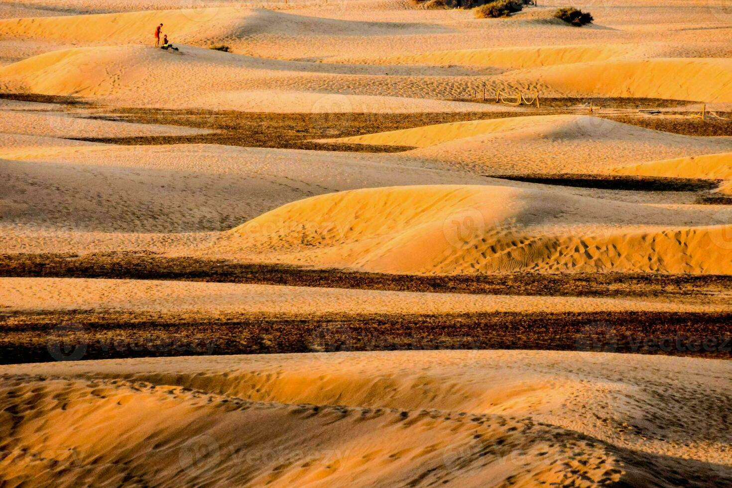 Sand texture background photo