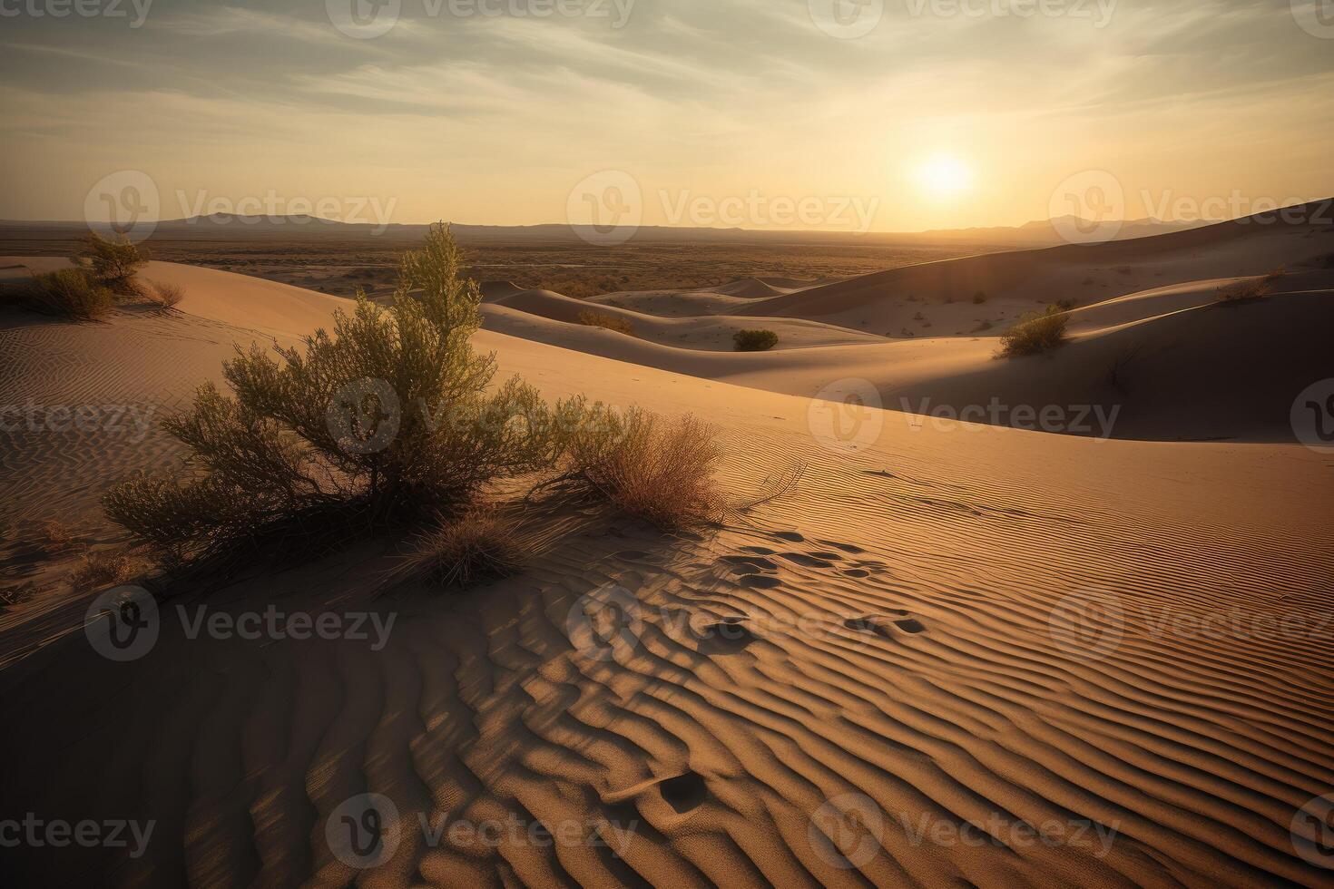 AI Generated Desolate desert at dawn, featuring a towering sand dune with wind-swept ridges and a lone cactus standing guard in the distance. photo