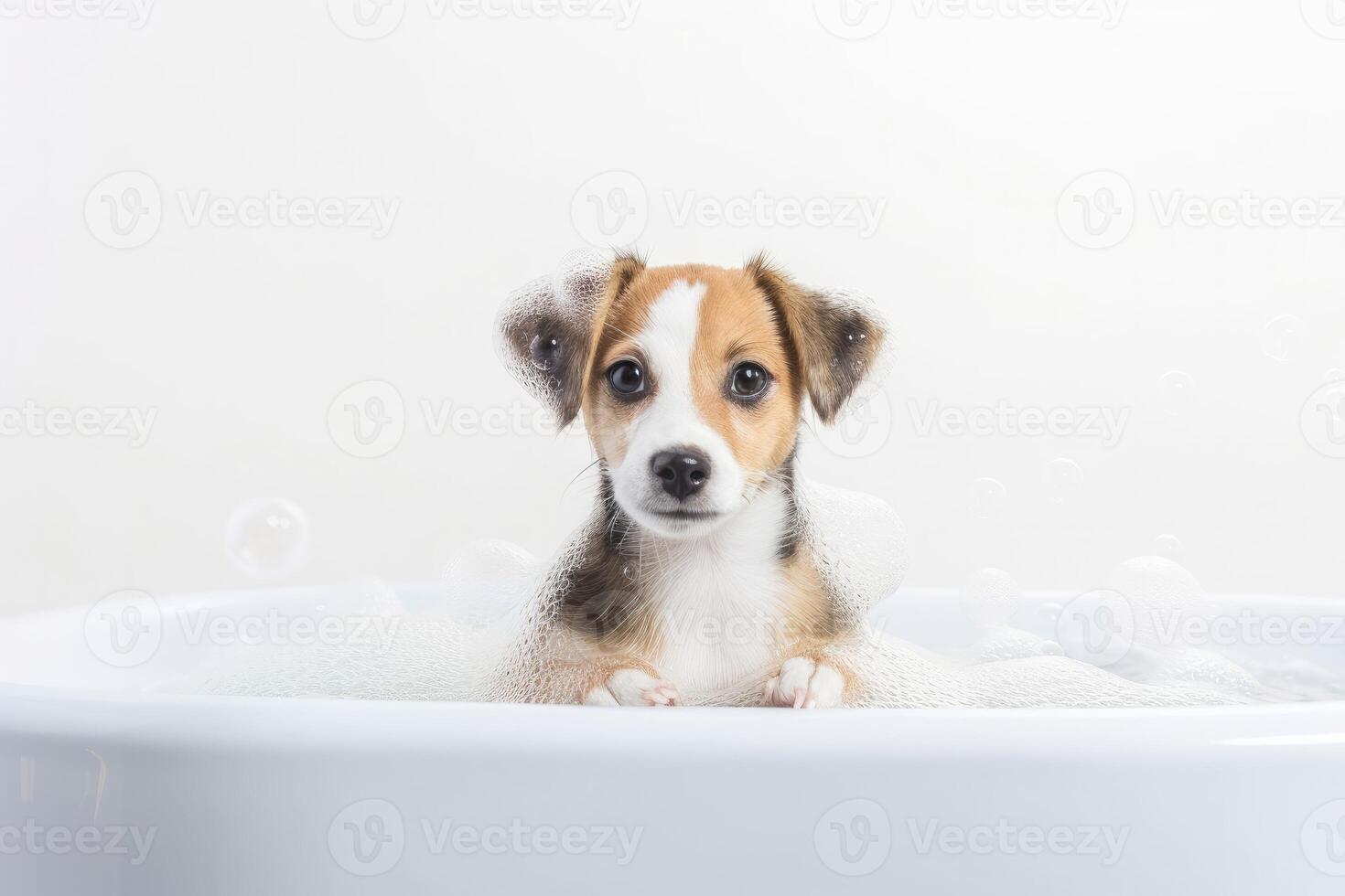 Super cute puppy dog full of bubbles in bathtub. photo