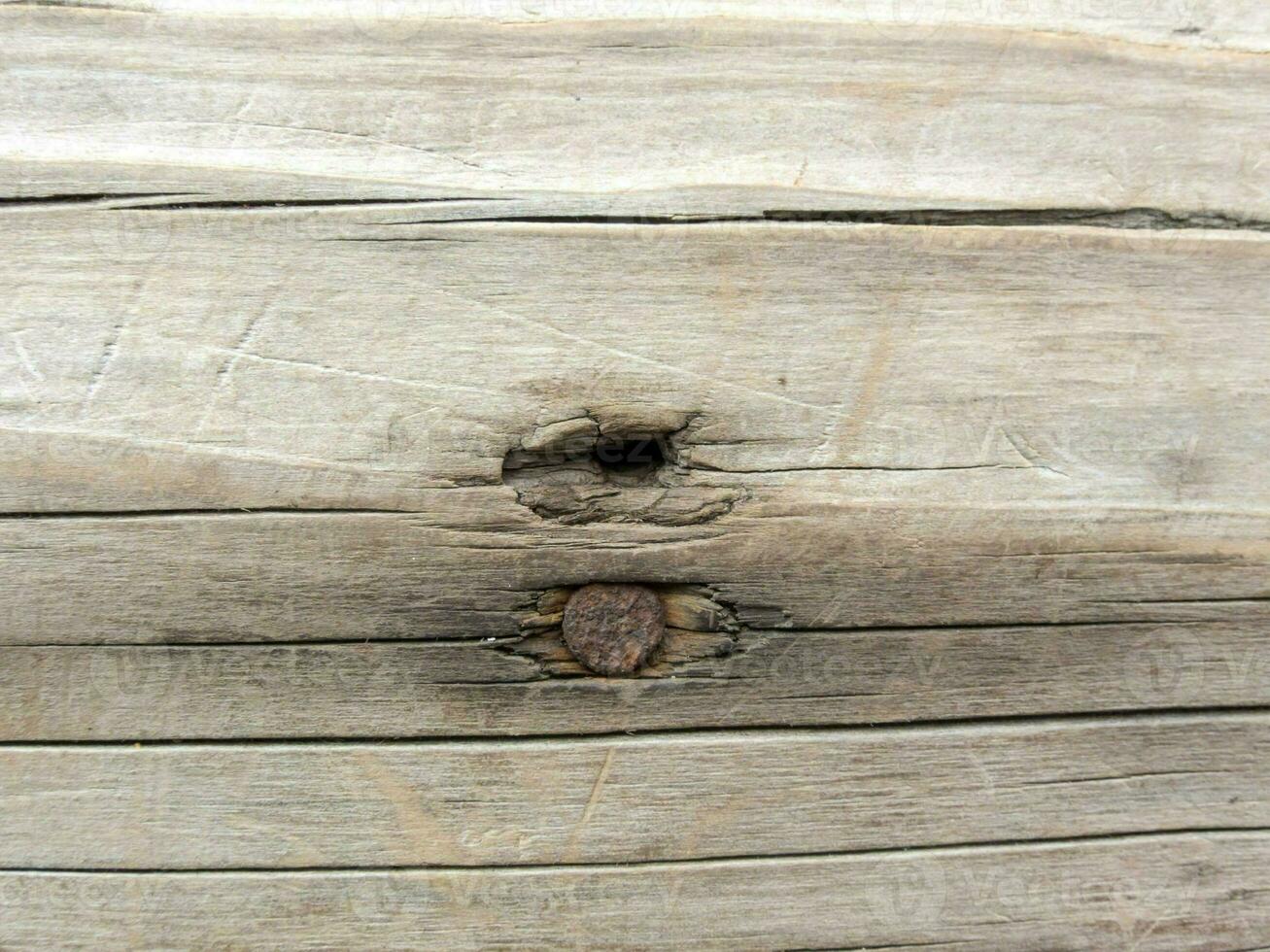 Wood texture background photo