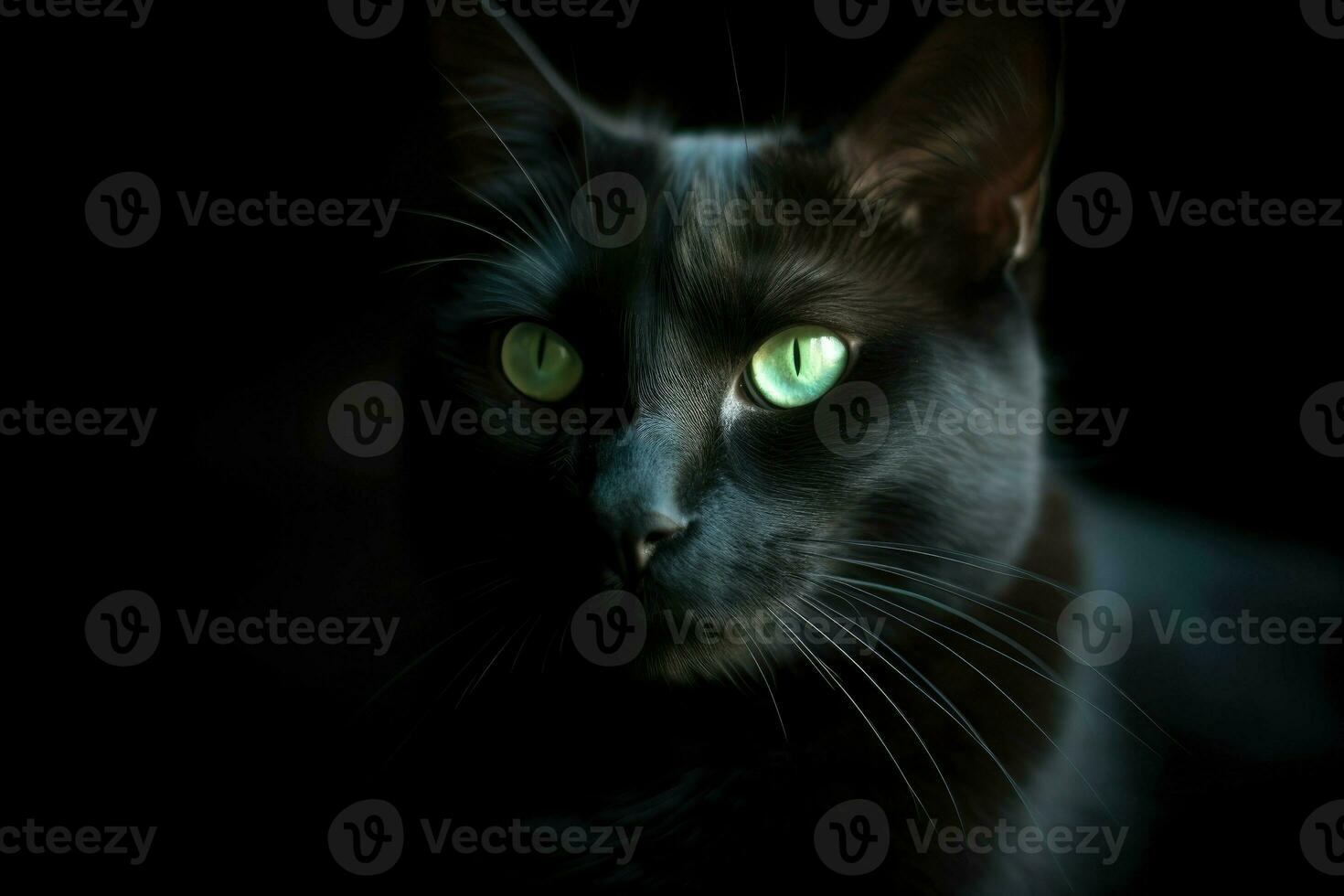 ai generado minimalista retrato de un pulcro negro gato, con perforación verde ojos y sutil oscuridad. foto