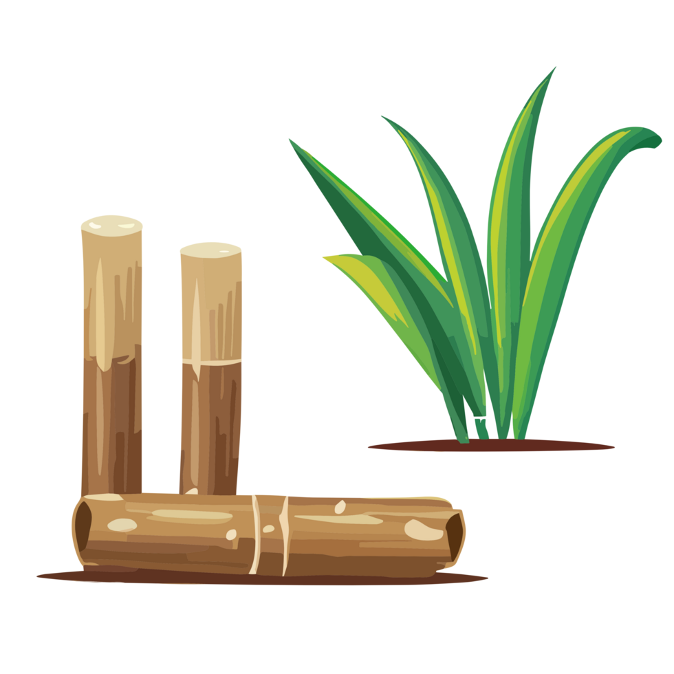 Sugarcane transparent background,Ai generative png