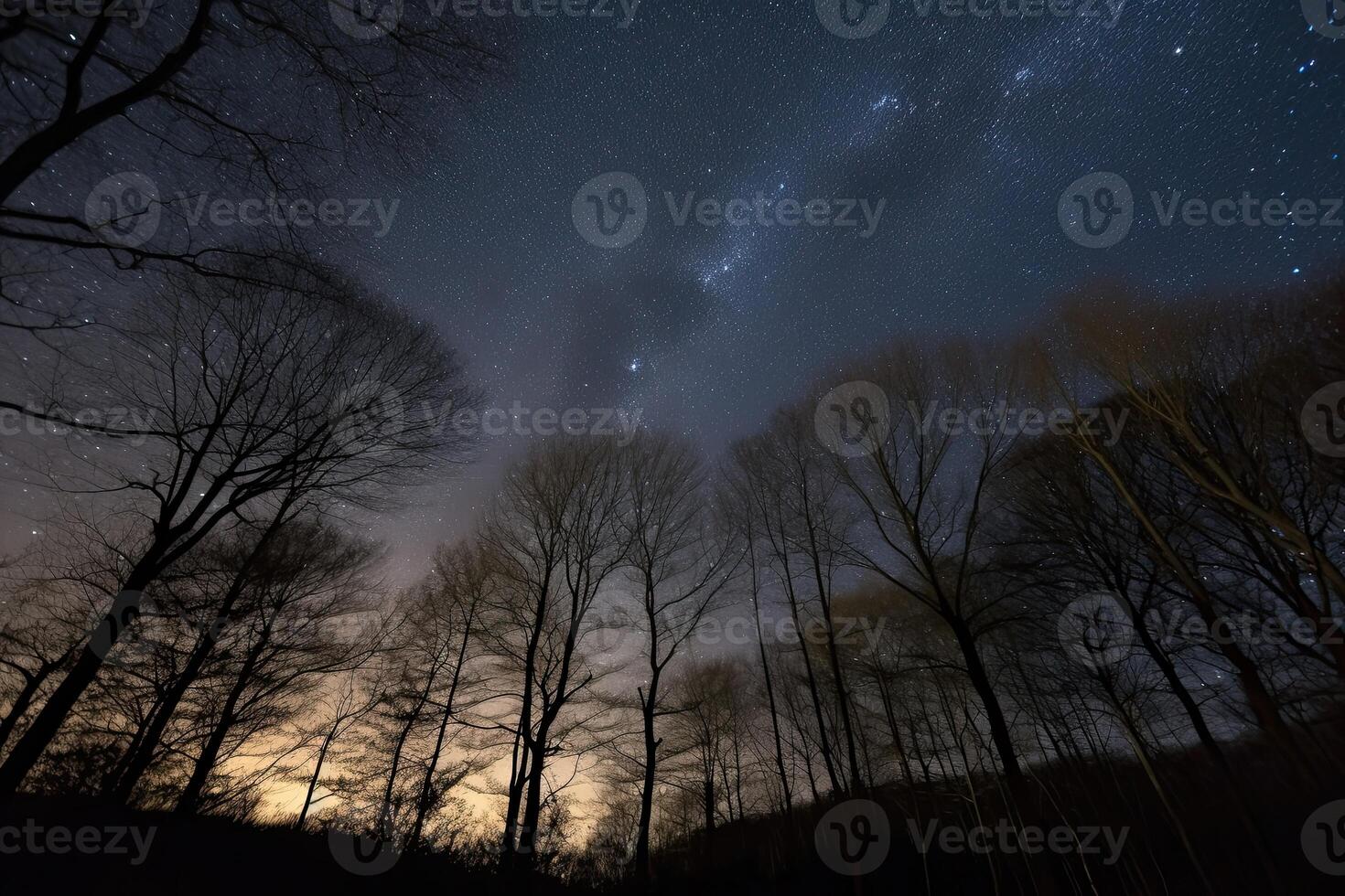 The starry sky above seems to go on forever with countless pinpricks of light photo
