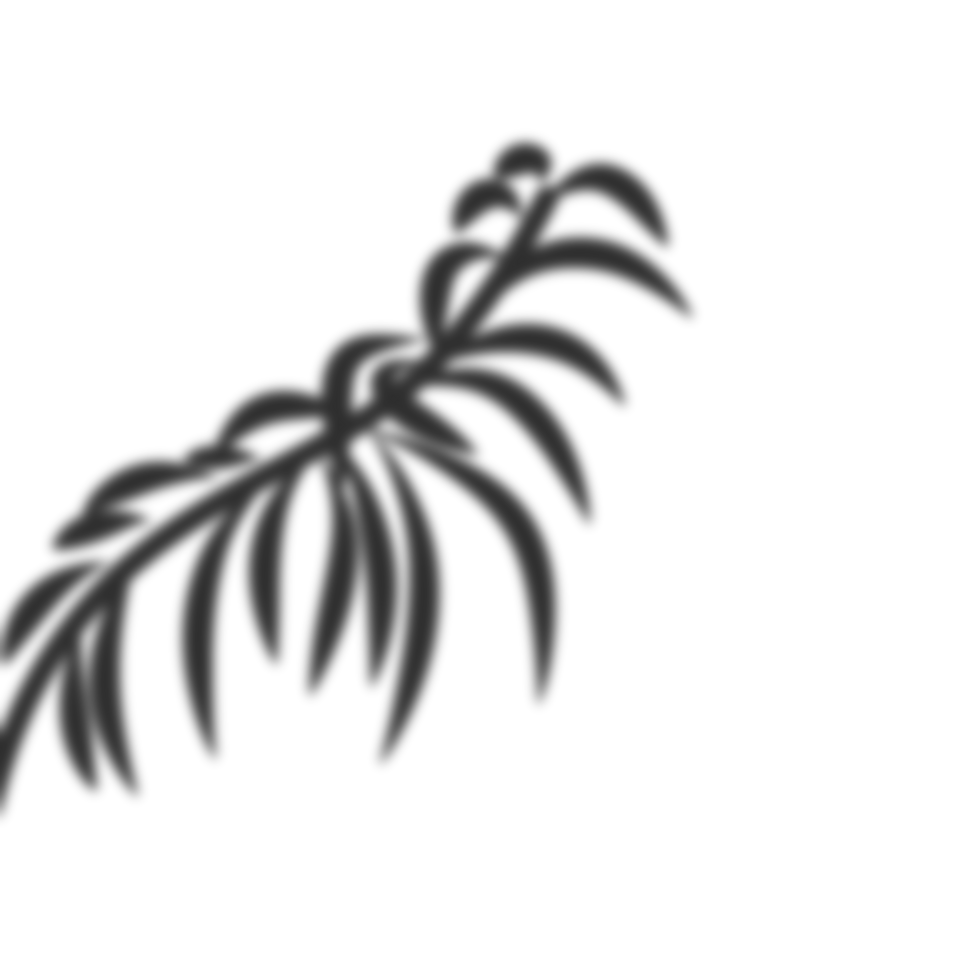 Palm leaves shadow png