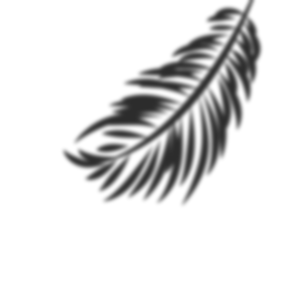 Palm leaves shadow png