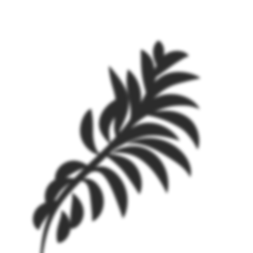 Palme Blätter Schatten png