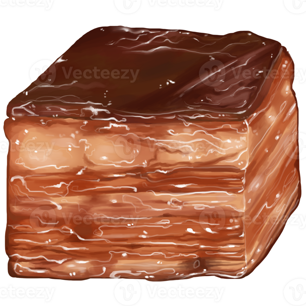 The popular japanese food png