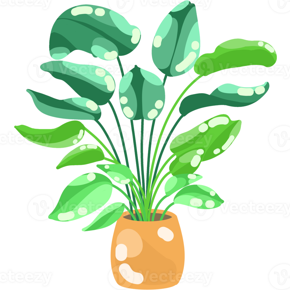 Foliage and Variegated Plants png
