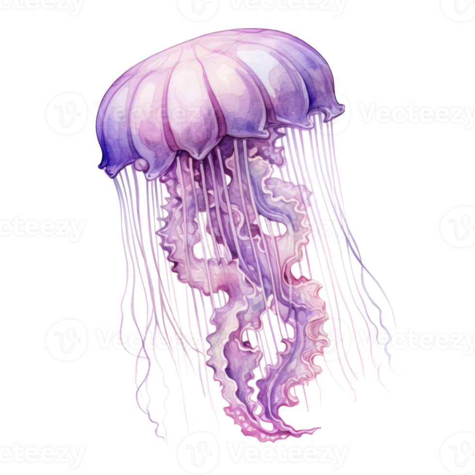 Watercolor Jelly Fish Isolated. Illustration AI Generative png