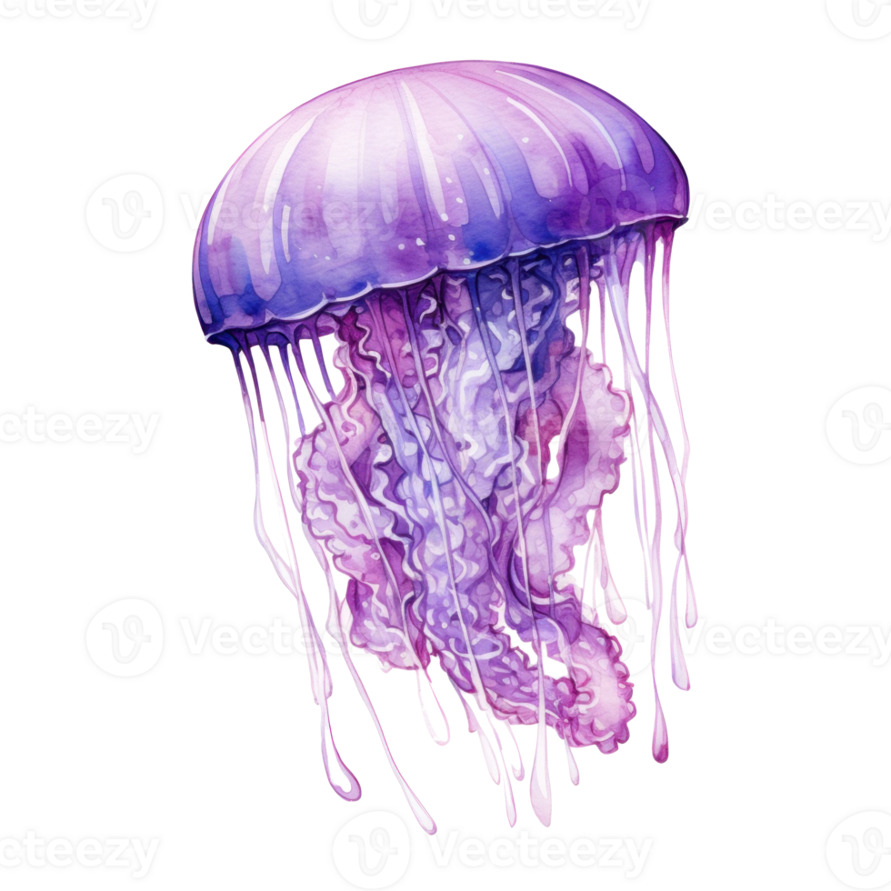 Watercolor Jelly Fish Isolated. Illustration AI Generative png