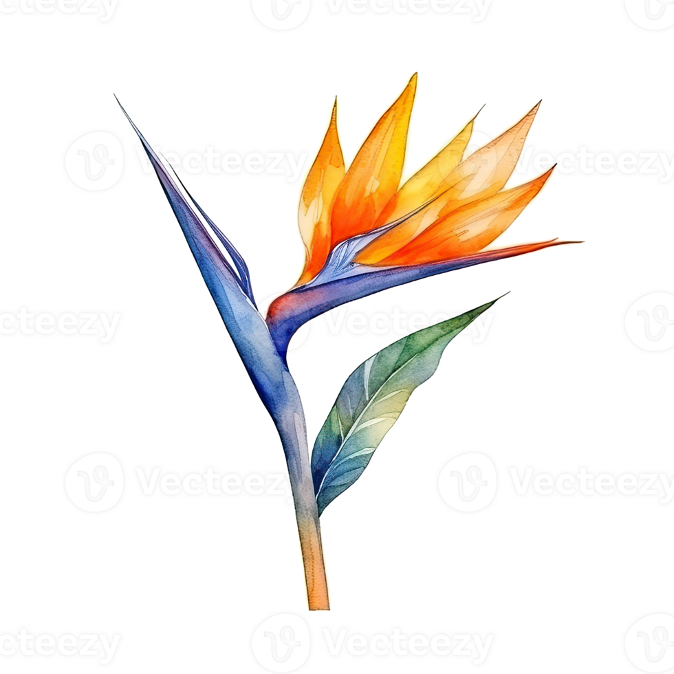 schattig waterverf strelitzia bloem. illustratie generatief ai png