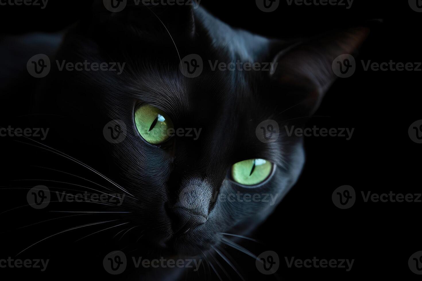 Minimalist portrait of a sleek black cat, with piercing green eyes and subtle shadows. photo