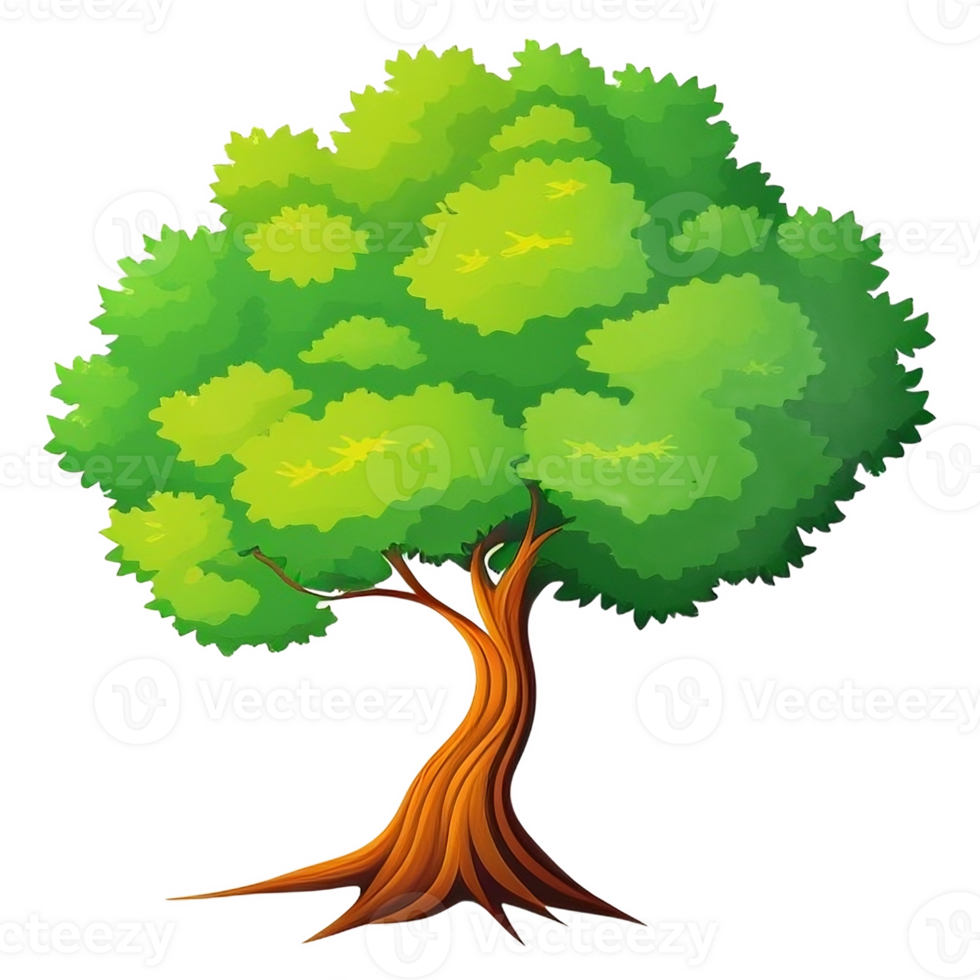 tree illustration png transparent
