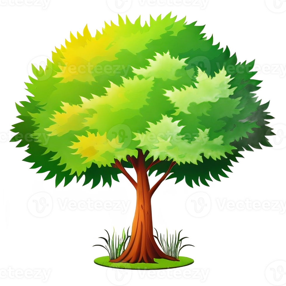 tree illustration png transparent