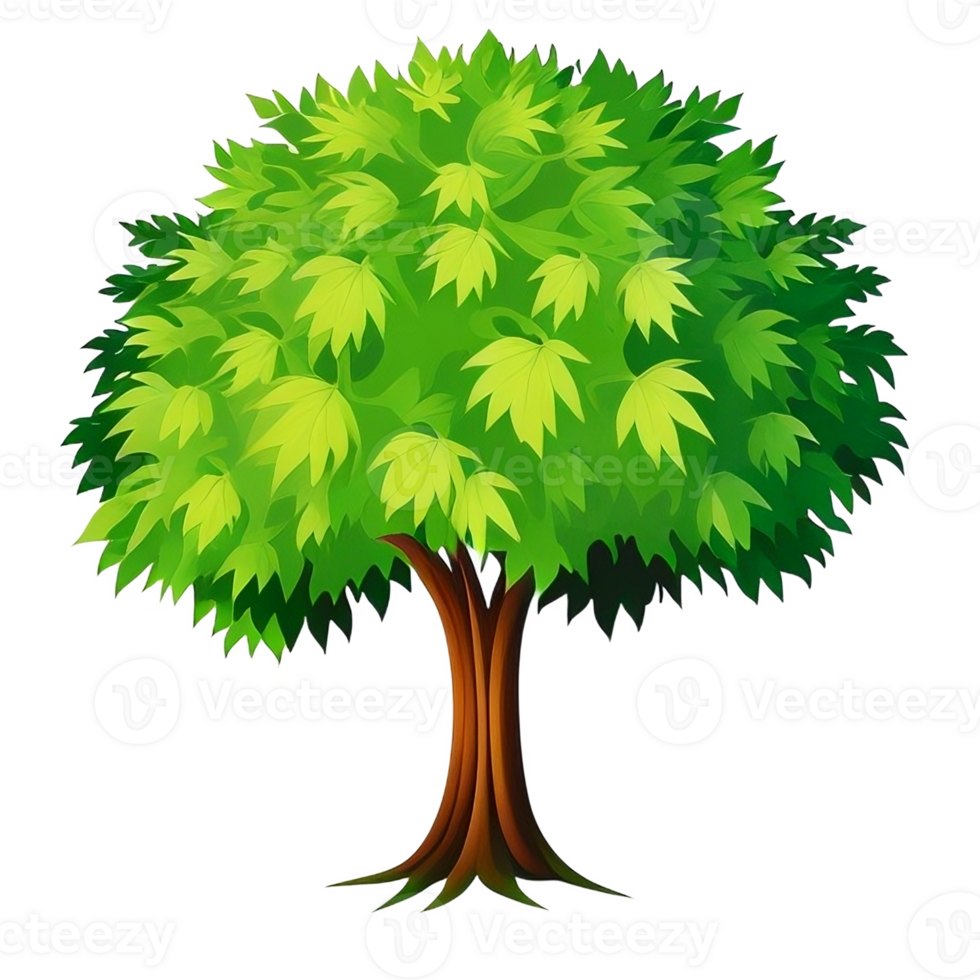 tree illustration png transparent