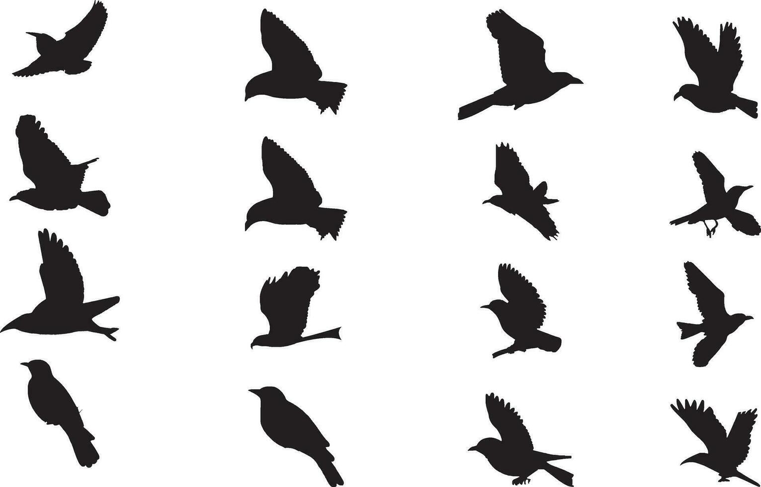 pájaro siluetas vector