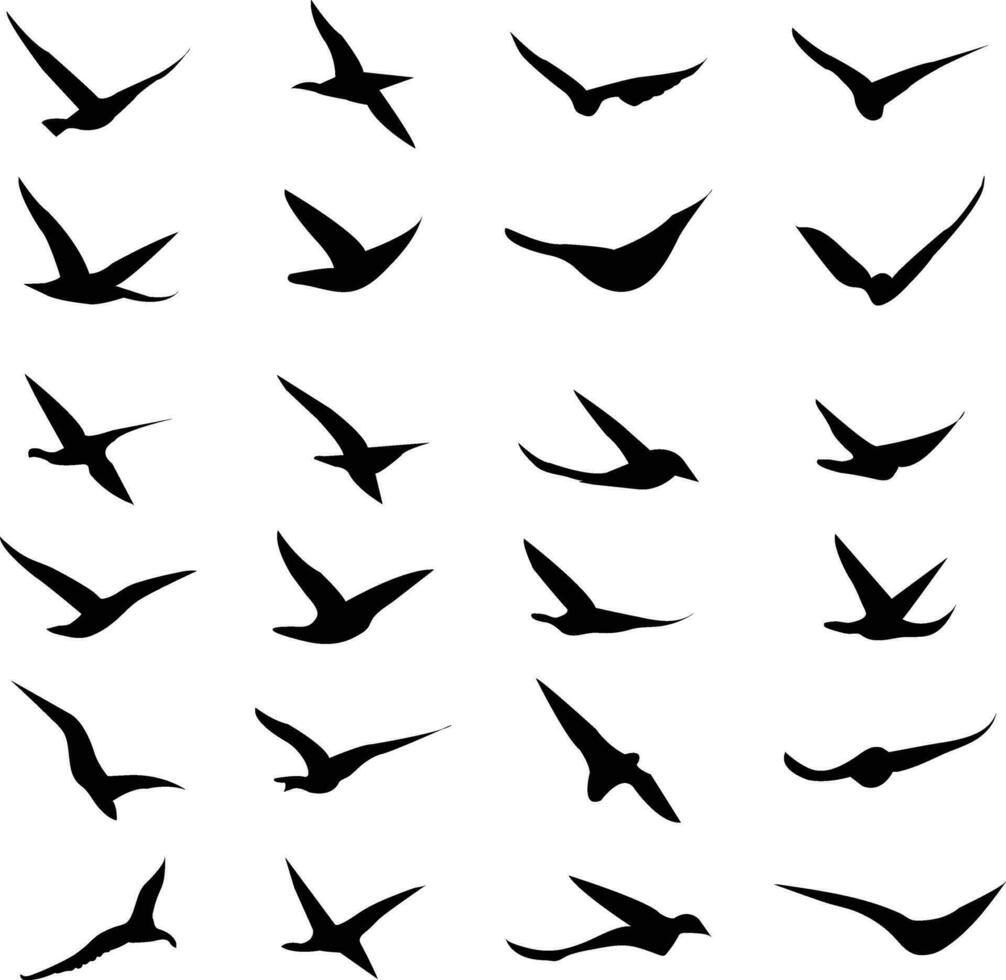 volador pájaro siluetas vector