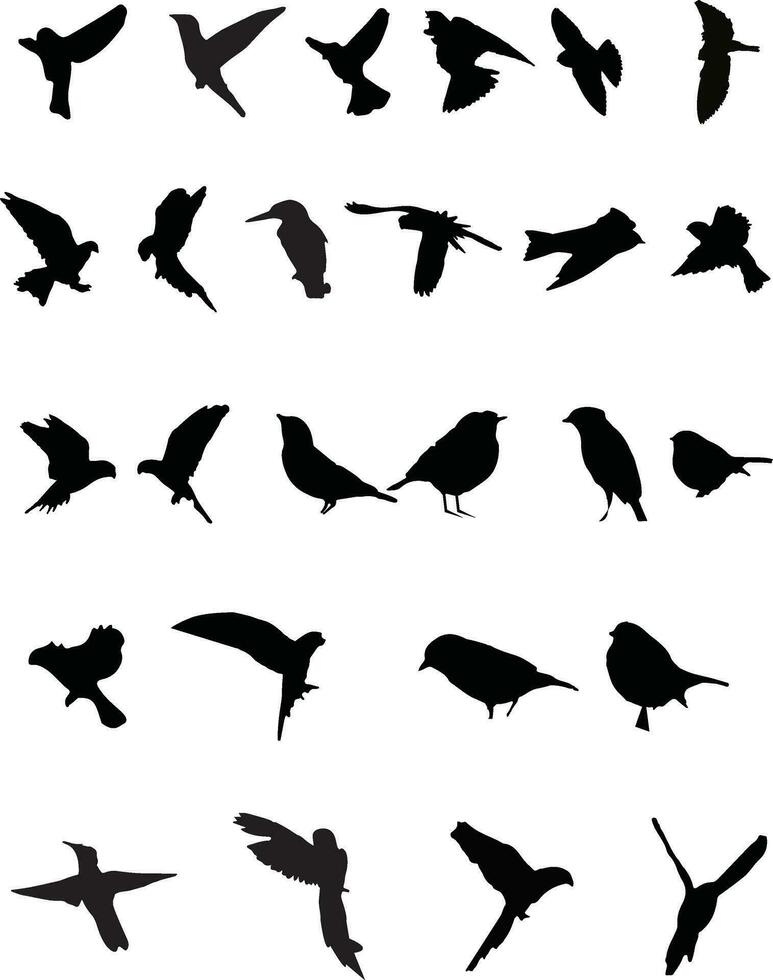 Flying birds silhouettes on white background. Vector illustration.