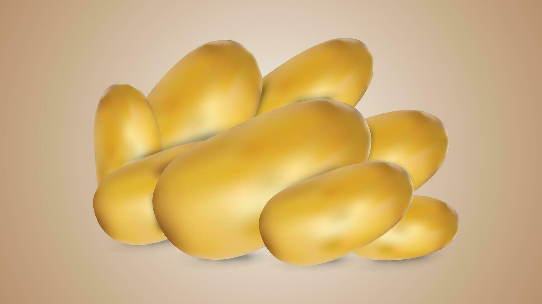 potato realistic 3d vector