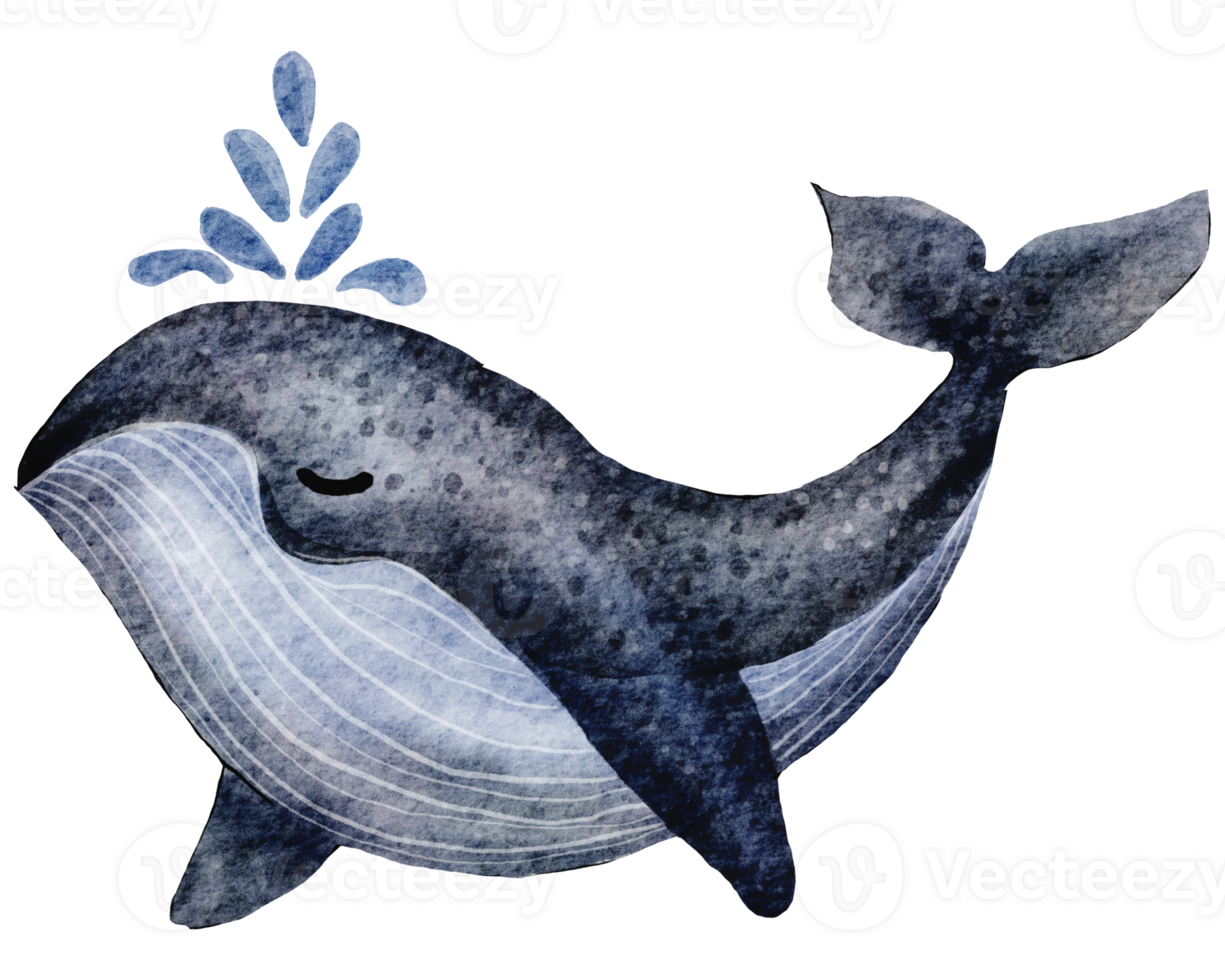 Big blue whale. Hand-drawn watercolor illustration png