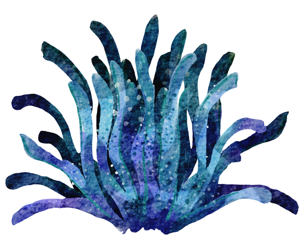 hand- geschilderd waterverf van koralen , onder oceaan leven png