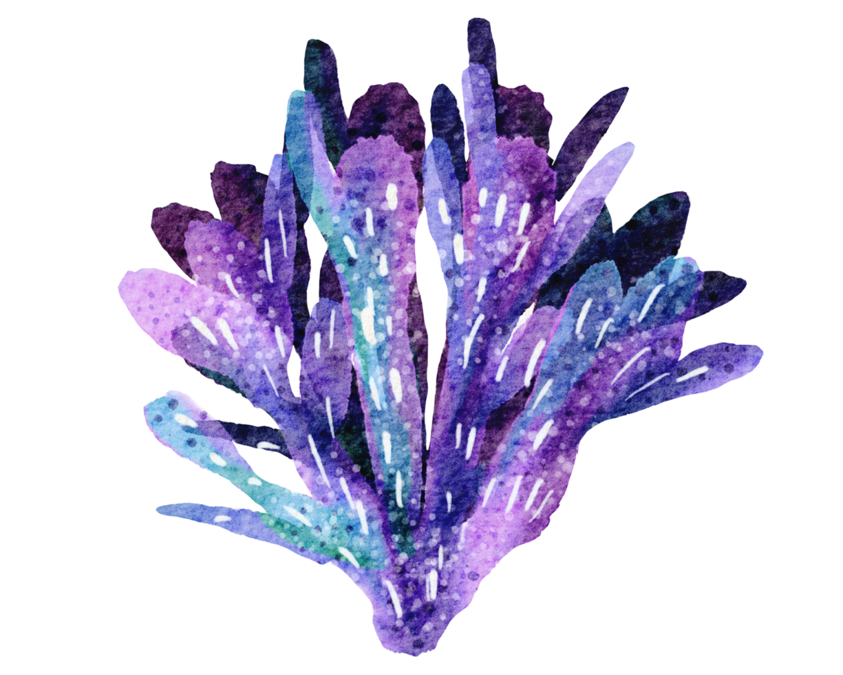 Hand painted watercolor of corals , under ocean life png