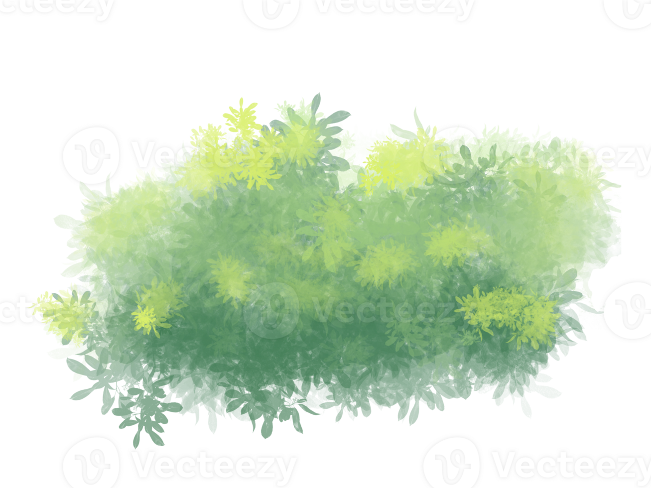 green grass flower png