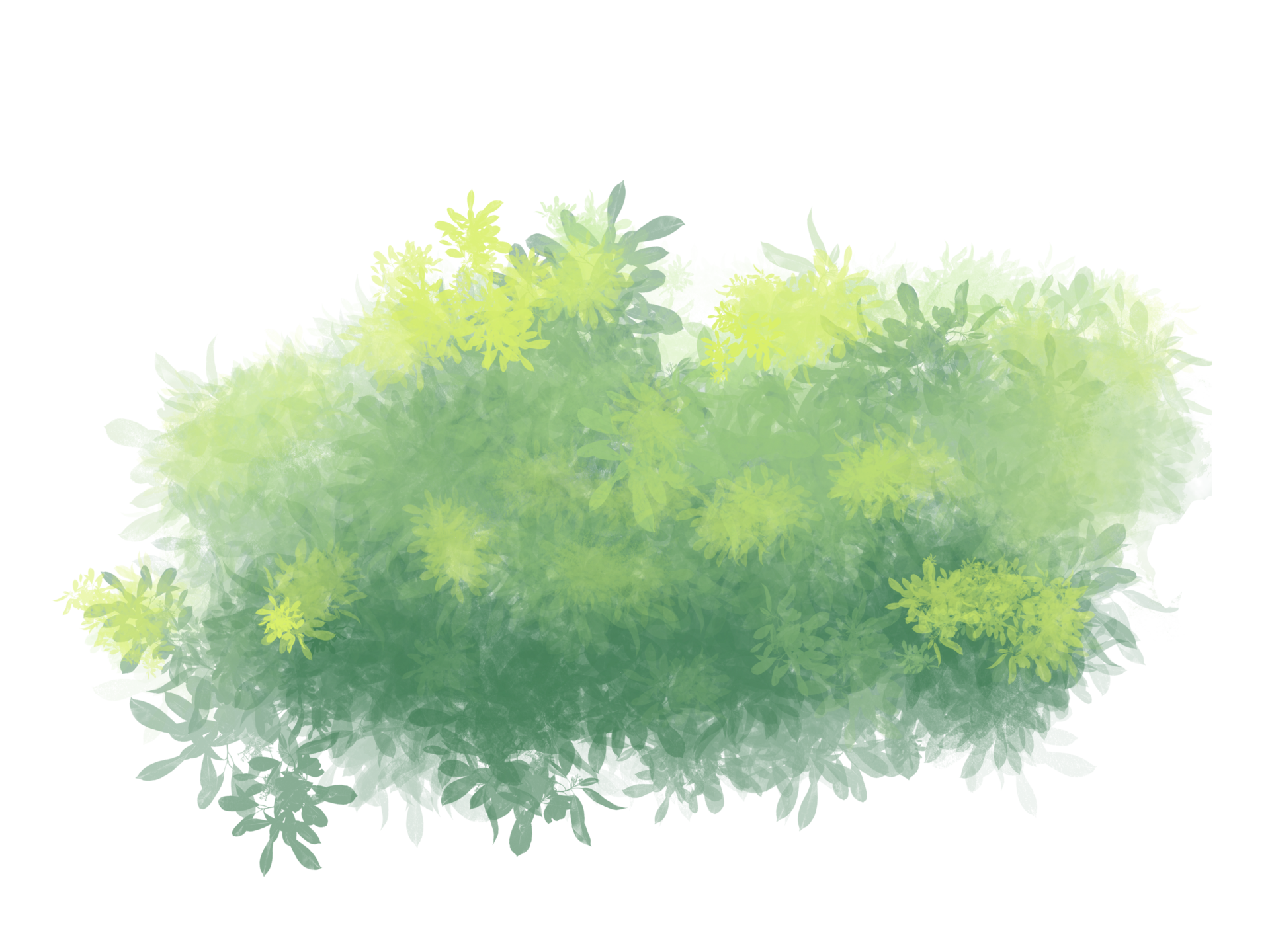 green grass flower 25251731 PNG
