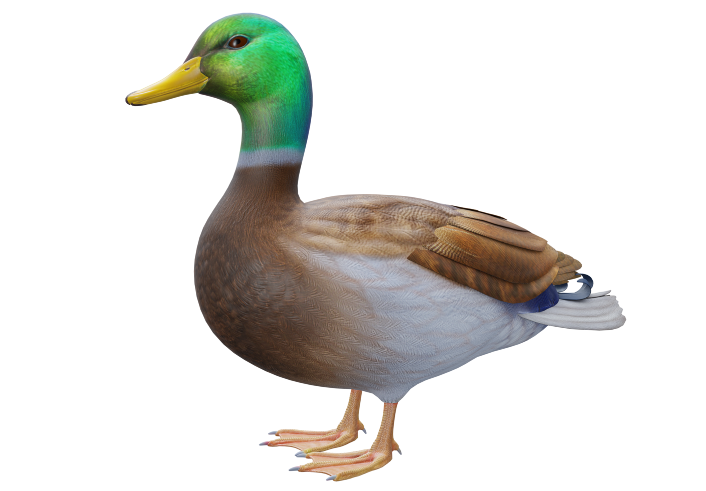 Ente Grün hoch Qualität 3d machen png