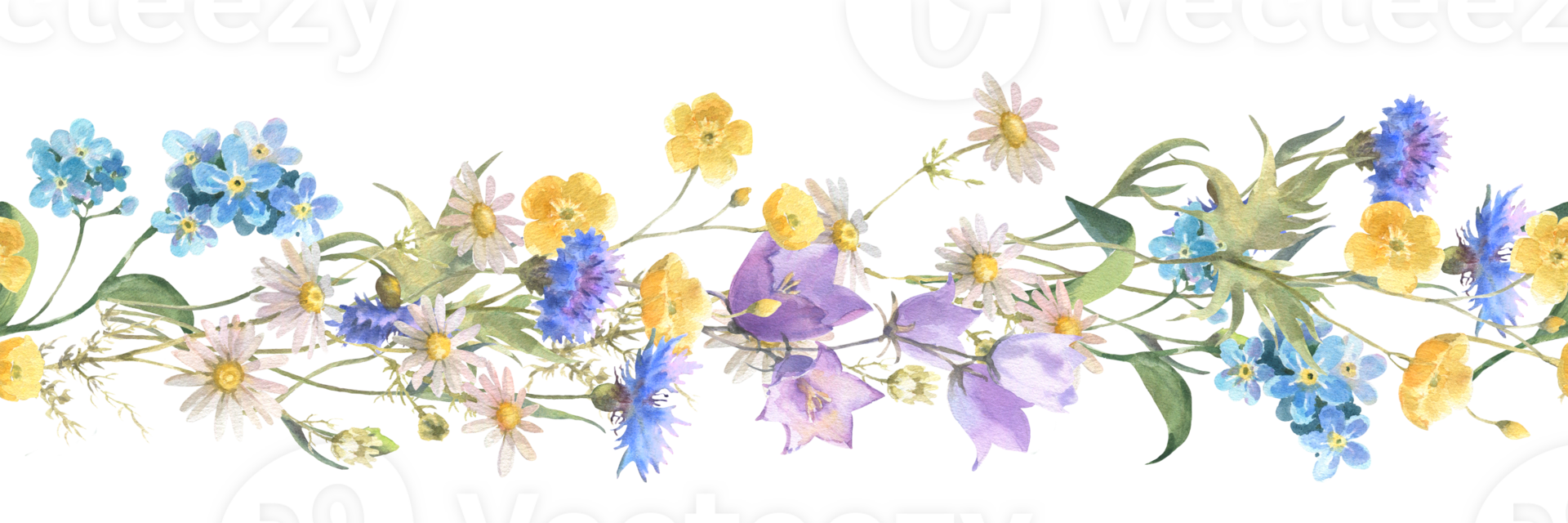 Seamless border with Herbs and wild flowers, leaves, butterflies. Botanical Illustration. Template with place for text. png