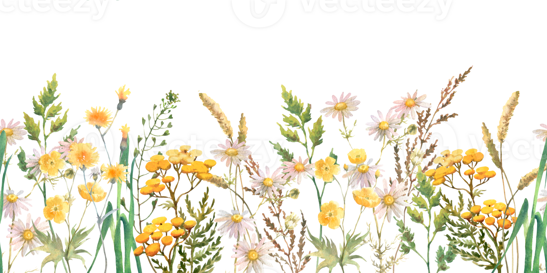Seamless border with Herbs and wild flowers, leaves, butterflies. Botanical Illustration. Template with place for text. png