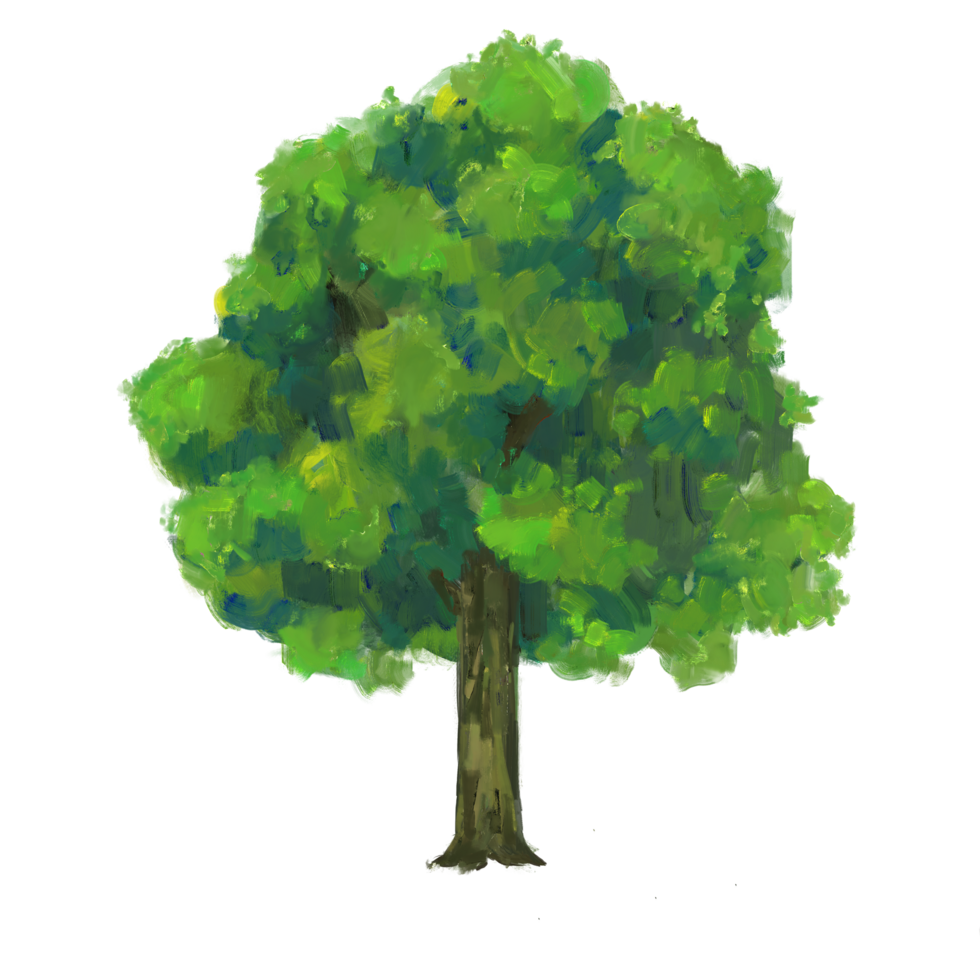 Tree isolated background. Green plant paint illustration. png