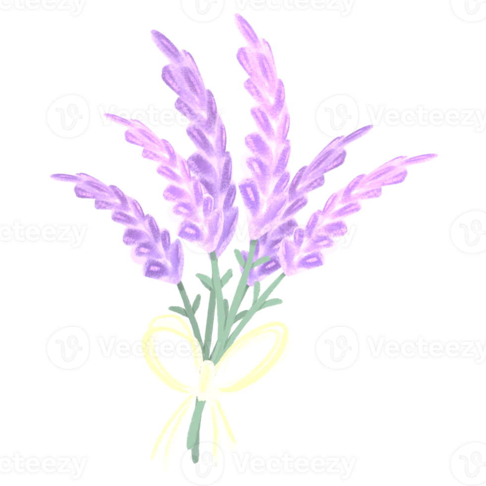 Lavendel Strauß Pastell- Farben minimal Blumen Hand gezeichnet png