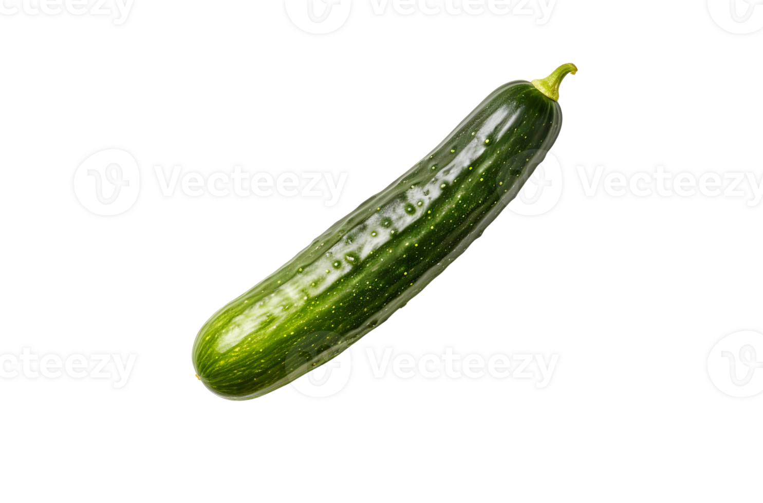 whole fresh cucumber, png