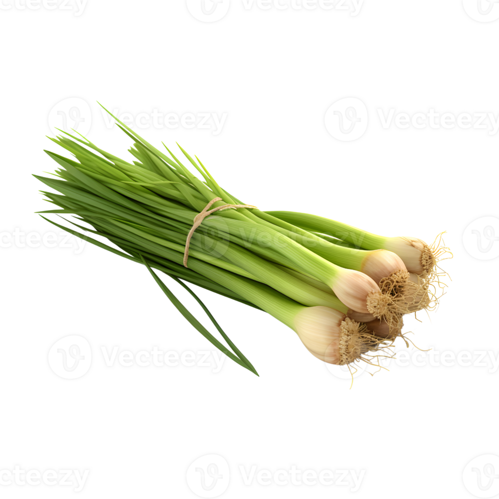 lemongrass leaf bundle, png