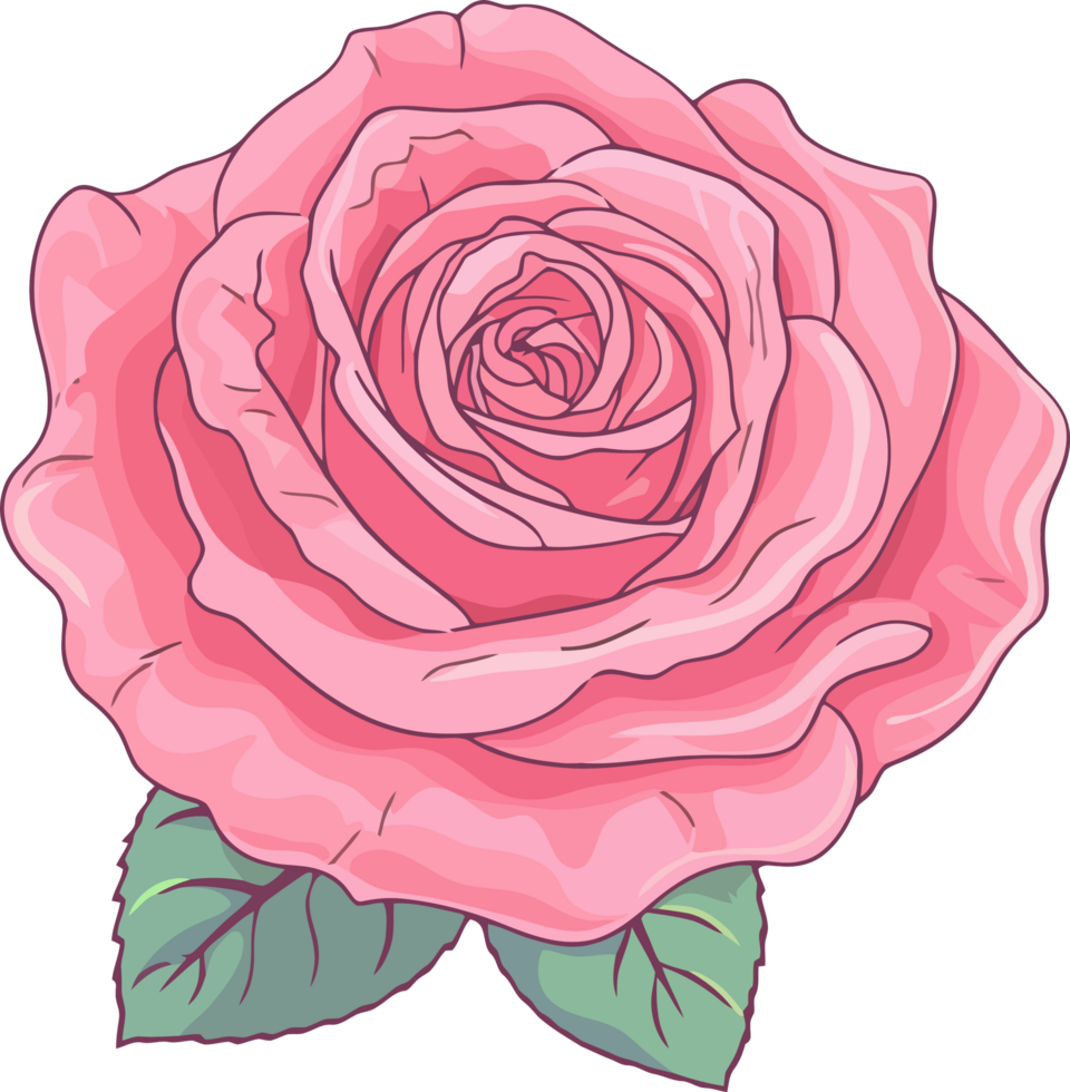 red pink rose illustration, romantic decorative flower, png