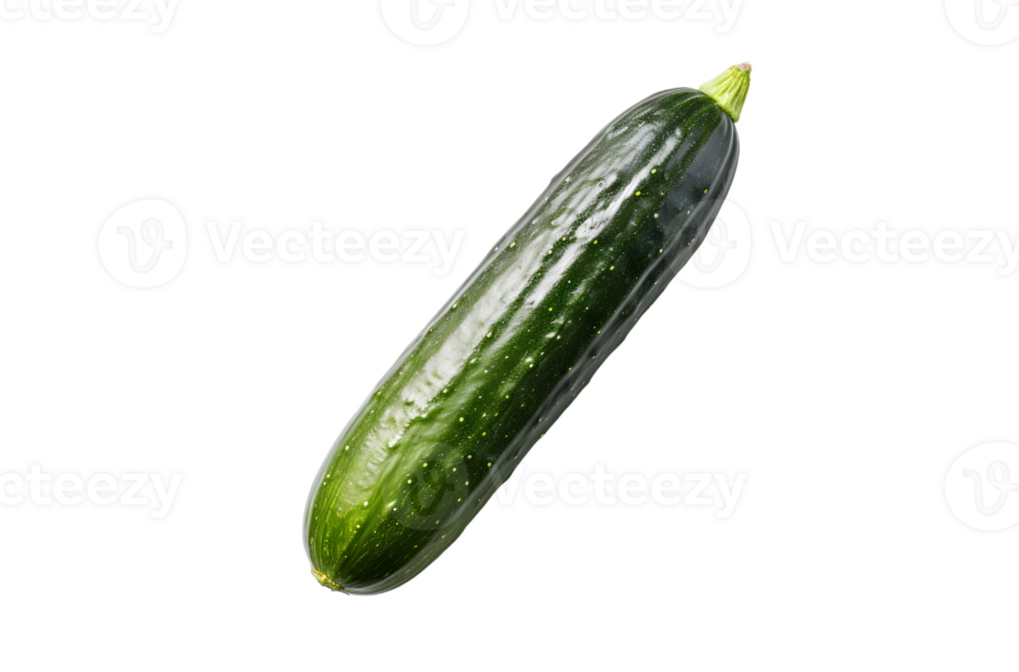 Fresco y maduro pepino, ai generativo png