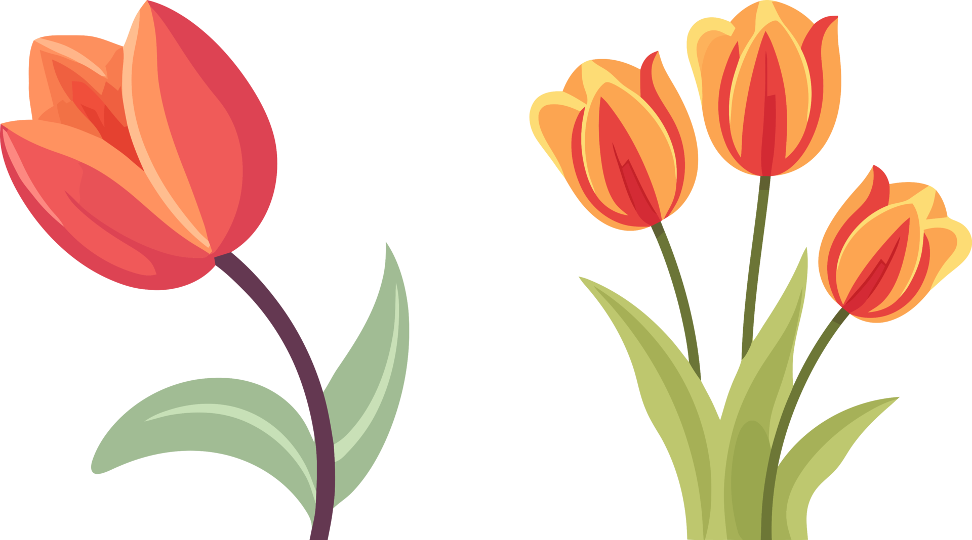 Vibrant Tulip Illustration, Flat Color Art, AI Generated 25252286 PNG