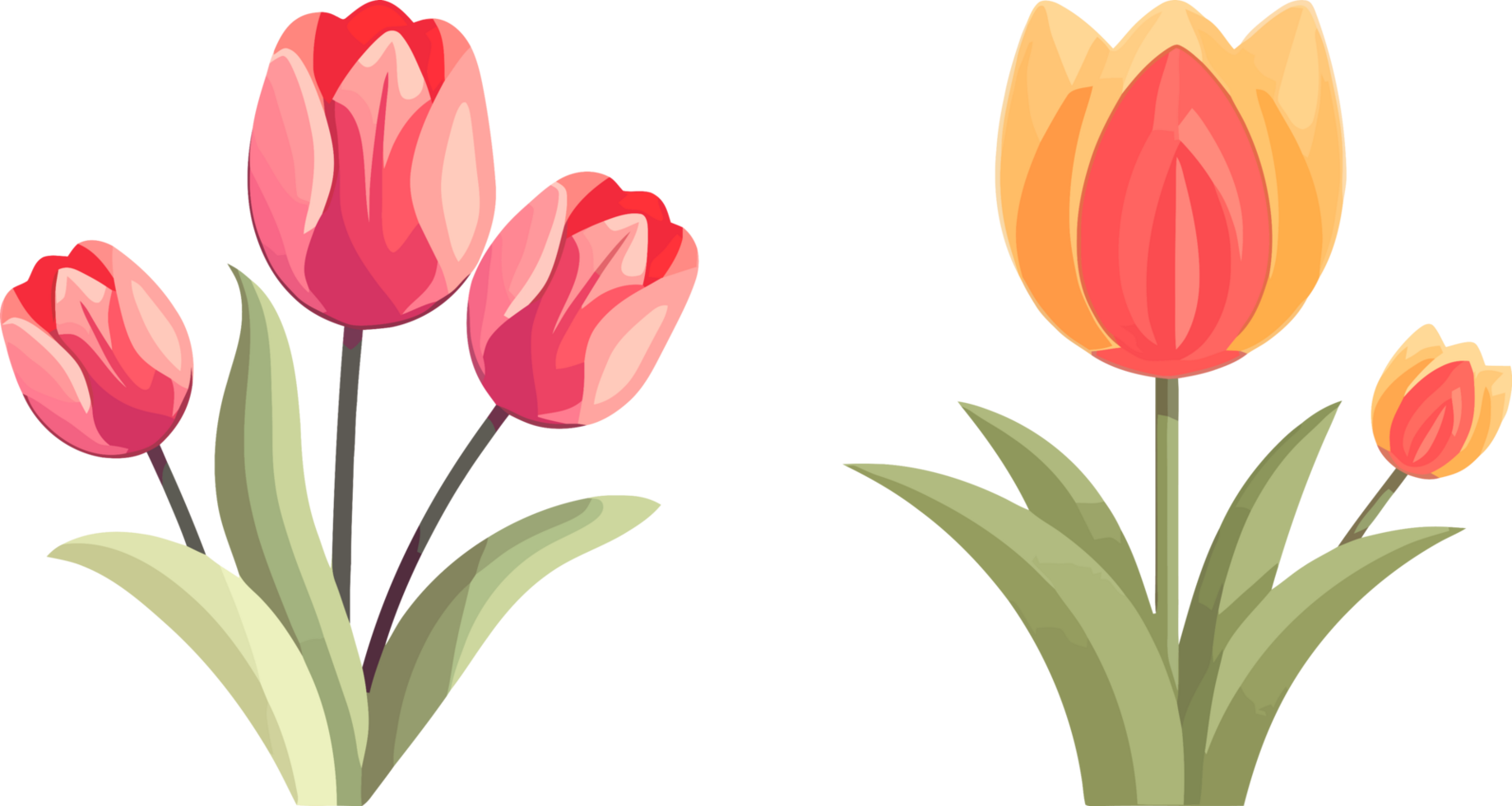 Artistic Floral Decor, Flat Color Tulip Illustration, AI Generated png